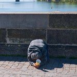 El Niño could push 49 million more people into hunger: Why SA should pay attention