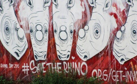 DOLLAR BOON: R10m windfall for African conservation after Australian ‘rhino rescue’ plan folds up