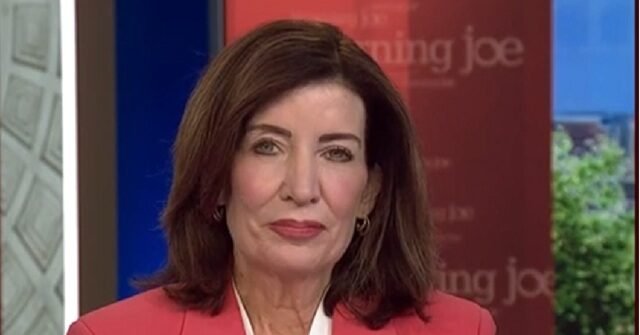 Hochul: I Wish ‘Rogue Policing’ ICE ‘Would Just Disband’, Go Back to INS