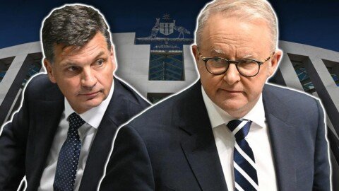 Albanese and Taylor explore possibility of deal on migration reforms