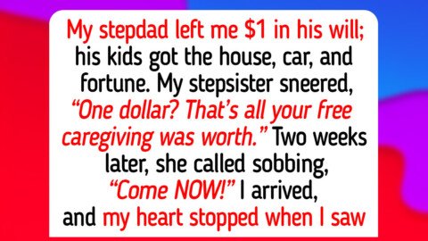 10 Moments When Empathy, Discipline, and Kindness Showed What Humanity Is Capable Of