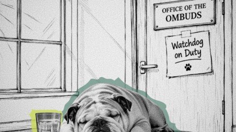What’s the point of government watchdogs if nothing changes?