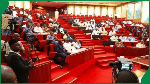 Full List: Akpabio, Oshiomhole, Uzodimma, 1,300 Others Make INEC Senate List