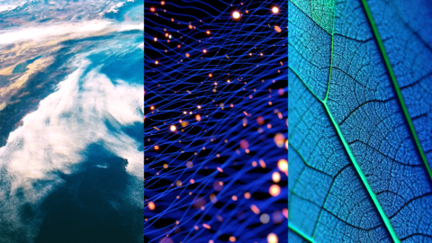 What’s next: Key climate and nature standards in 2026