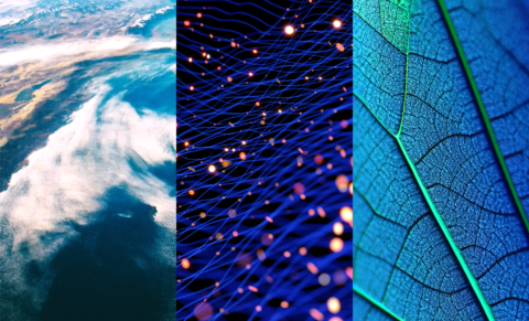 What’s next: Key climate and nature standards in 2026